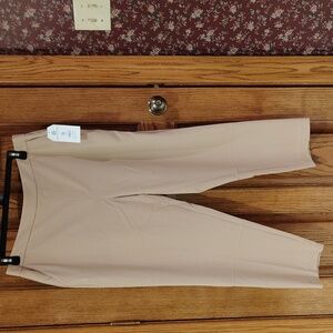 Versatile Beige Time & Tru Tapered Pants NWT XXL (20)